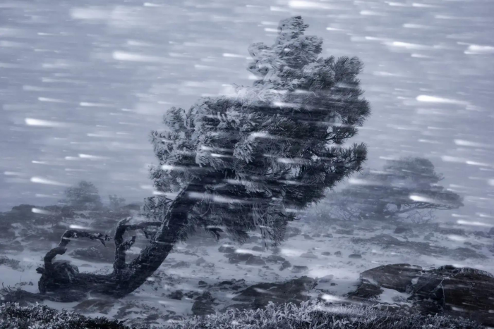 15 самых потрясающе красивых фото зимних видов Земли за всю историю конкурса Nature Photography Contest