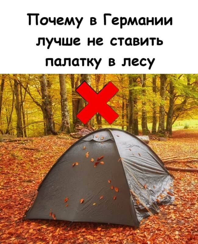 Почему в Германии лучше не ставить палатку в лесу
