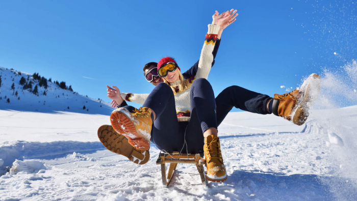 Сквозь снег и песок: удивительная история саней