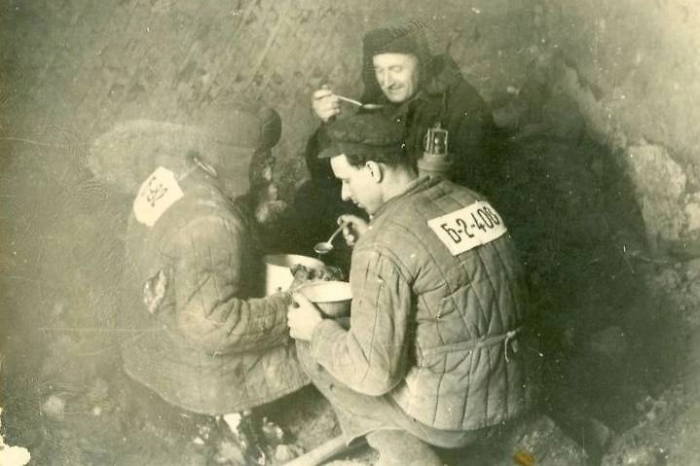 Как остров Вайгач стал символом выживания для заключённых ГУЛАГа