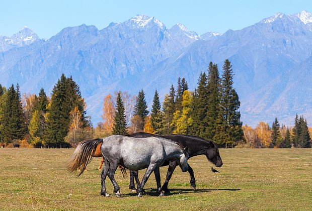 Озеро Байкал: где находится, как добраться, чем заняться зимой и летом