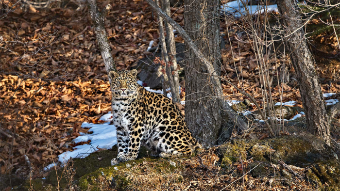 Едем дальше: новая туристическая карта России