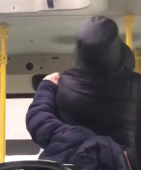 Весь автобус встал на защиту водителя после того, как иноземец скомандовал собаке на водителя