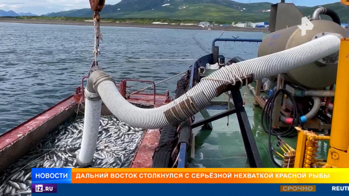 Очереди как в 90-х: красная рыба на Дальнем Востоке стала на вес золота