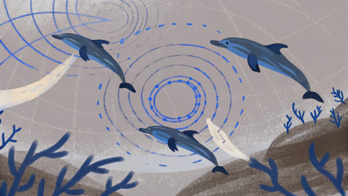 7 изобретений, которые люди подсмотрели у природы