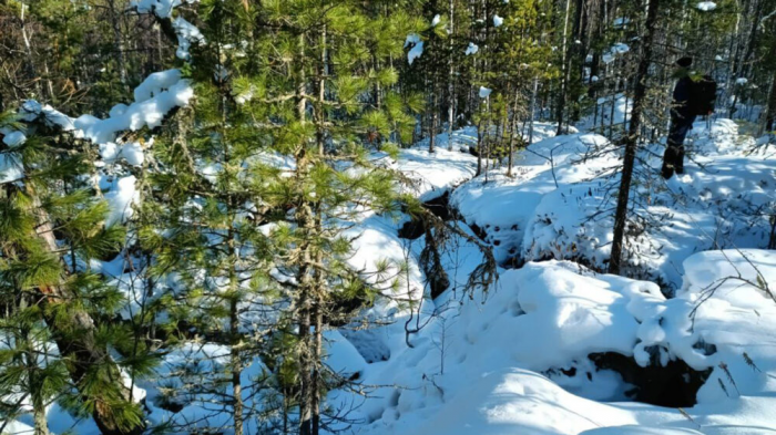 Автор книги о группе Дятлова: на пропажу Усольцевых повлияла активность Солнца