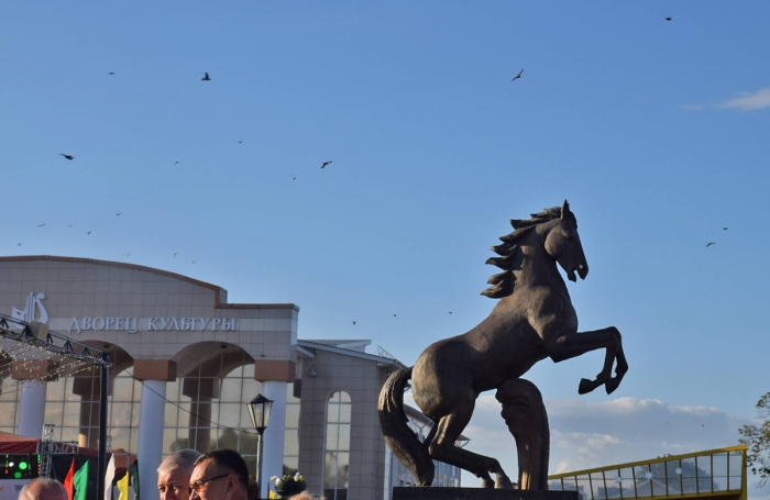 Лошади в городе: где в Татарстане искать символ года, чтобы попросить удачи