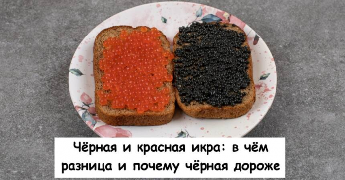 Чёрная и красная икра: в чём разница и почему чёрная дороже