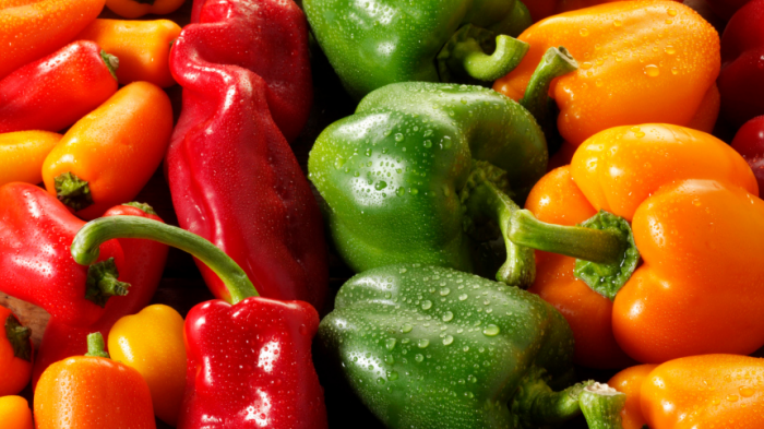 Turogo.ru - Туризм, охота и рыбалка