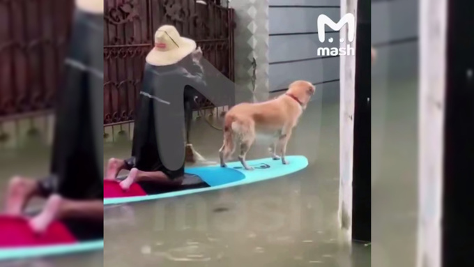 Питоны плавают по улицам. На Бали объявлен наивысший уровень погодной опасности