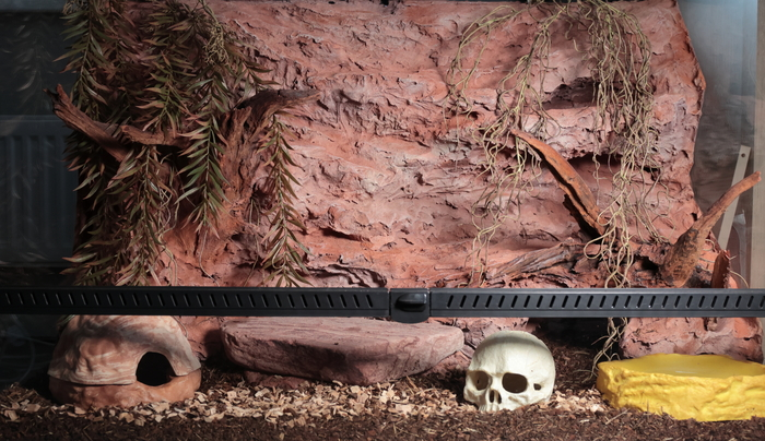 Первый террариум для первой змеи