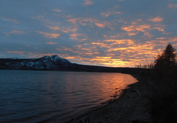 Лабынкырское чудовище: какое странное существо советские ученые обнаружили в озере в Якутии