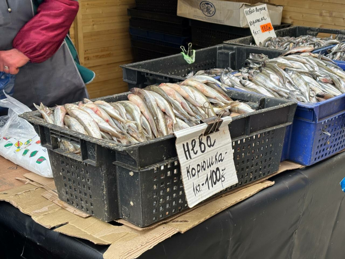 Петербуржцам напомнили, когда начнется сезон корюшки