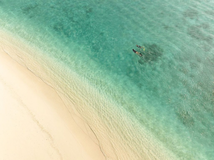 Новая программа защиты морской экосистемы курорта Noku