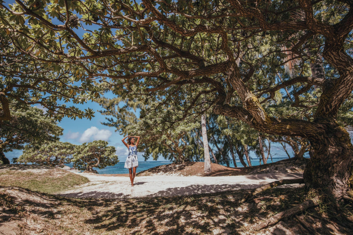 Победить стресс, подружиться с черепахой и прикоснуться к Луне: чем заняться в отпуске в апреле 2026