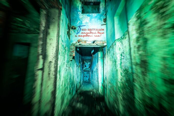 Любите путешествовать на электричке?