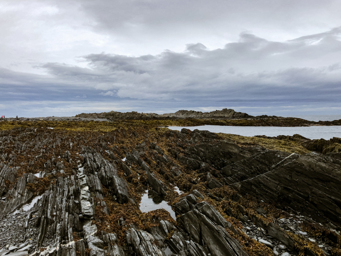 5 причин посетить Кольский полуостров