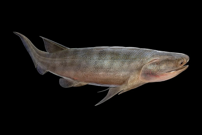 Turogo.ru - Туризм, охота и рыбалка