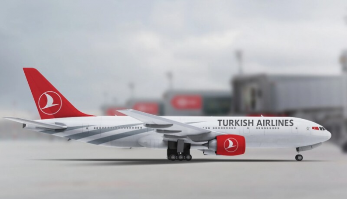 Посольство РФ в Анкаре рекомендовало отказаться от полетов Turkish Airlines