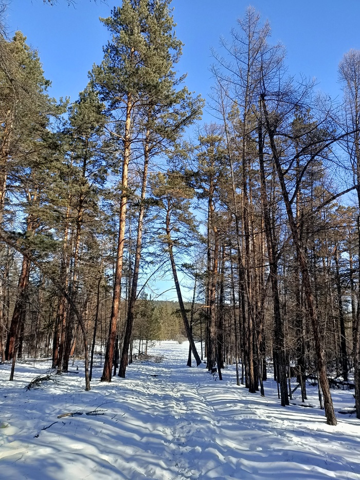 Байкал. Февраль 2023. День 6. Один на один (более 30 км пешки)