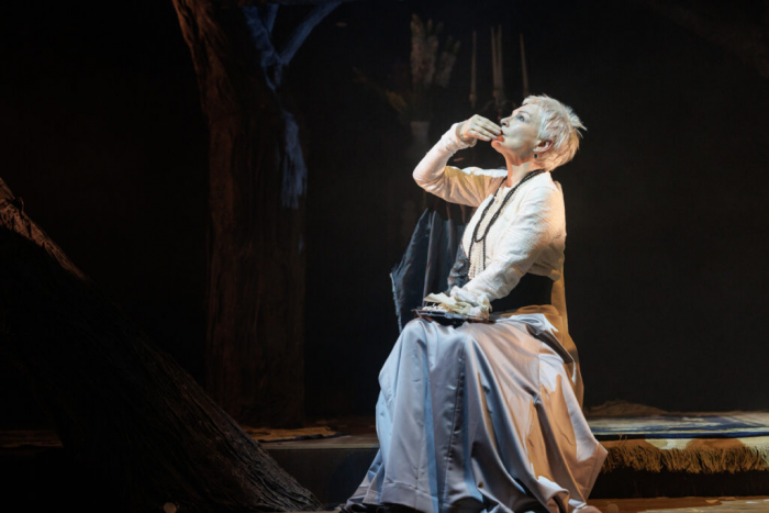 Эксперт СМИ2 о премьере в театре «Модерн»: «Вишневый сад» — триллер как он есть»