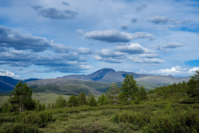 «Дает то, чего сейчас почти нигде не купишь» Почему Монголия внезапно начала набирать популярность у россиян?