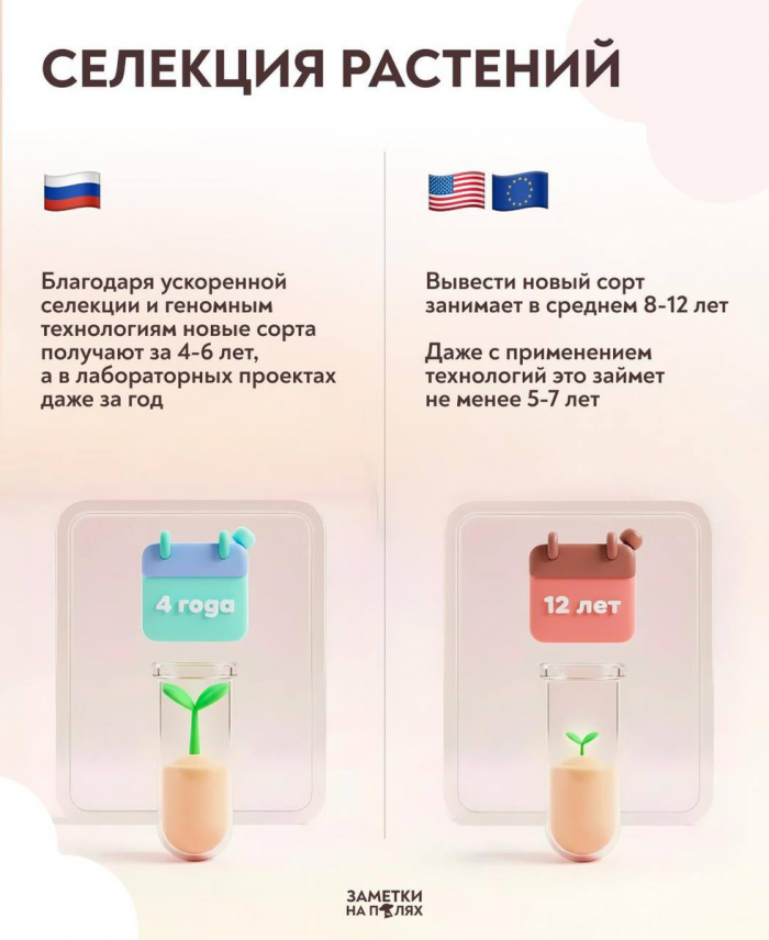 «Это гениально и бесплатно»: иностранцы в шоке от того, как на Урале 300 лет назад выращивали огурцы в сугробах (а мы и забыли).