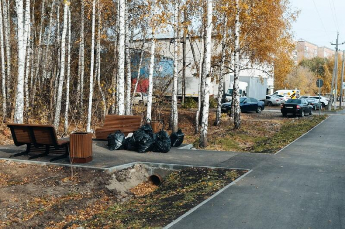 Золото октября. Как осень преобразила березовую рощу на окраине Барнаула