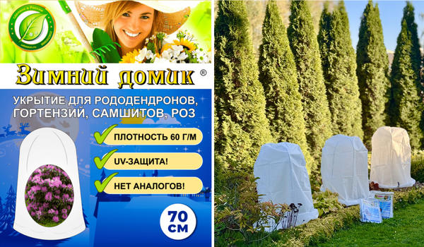 Рододендроны — символ садовой роскоши, неземной красоты и… кропотливого ухода