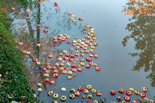 «Это место, где близок Бог и одновременно дьявол» Валаам меняет людей и ломает их волю. Почему россияне едут туда снова и снова?