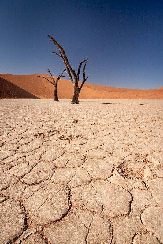 Что скрывается под песками пустыни