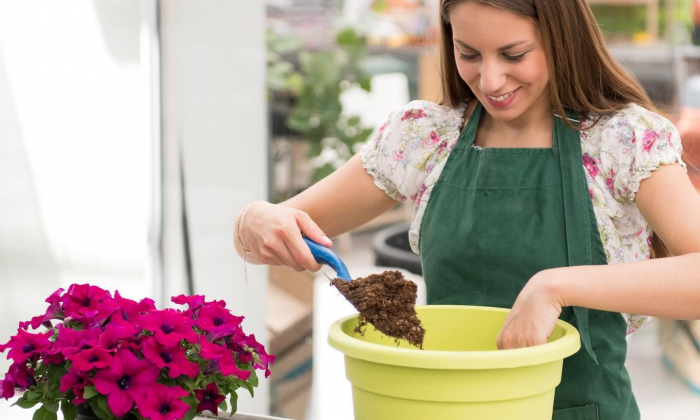 Turogo.ru - Туризм, охота и рыбалка