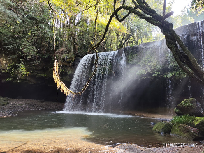 Вместо магнитиков: Япония, о.Кюсю