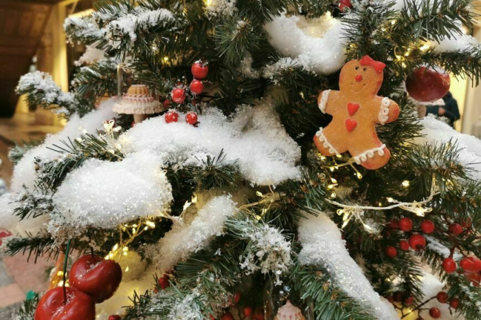 Сочи и Москва: главные точки притяжения россиян на Новый год