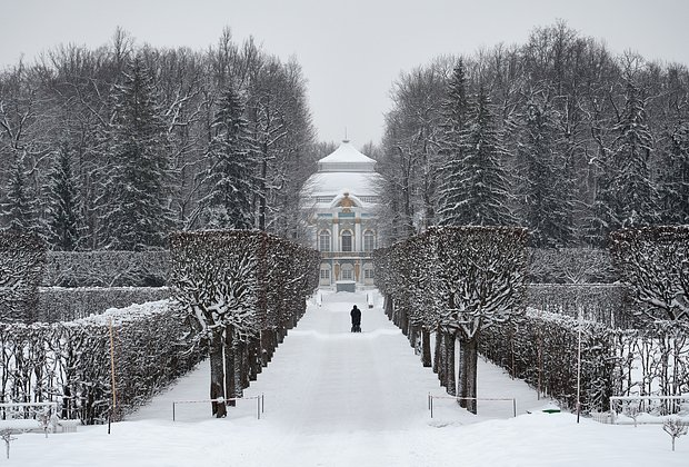 Куда сходить и что посмотреть в Санкт-Петербурге в январе 2026 года: 20+ идей для прогулок одному, с друзьями и семьей