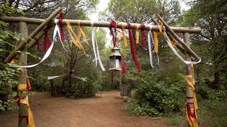 Из Барнаула — в Стамбул. Что жителю края посмотреть в одном из самых красивых городов мира