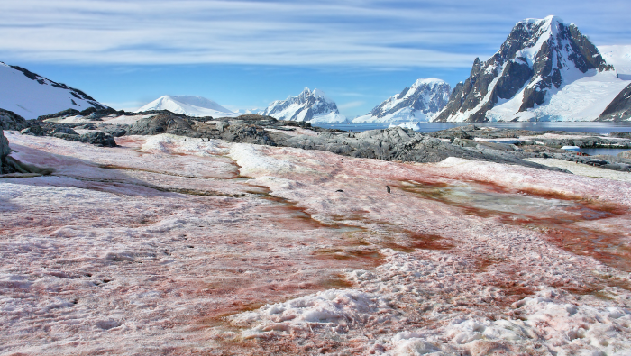 Почему снег бывает не только белый: 3 возможные причины