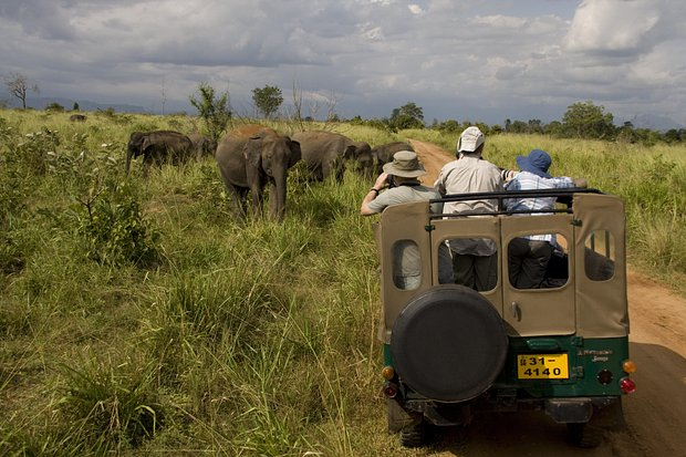 Куда поехать в августе 2026 года? Недорогие пляжные направления в России и других странах