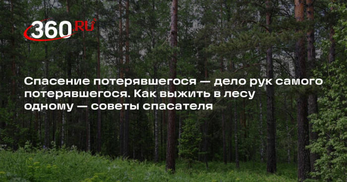 Спасатель Дударев: перед походом в лес необходимо сообщить о себе родным
