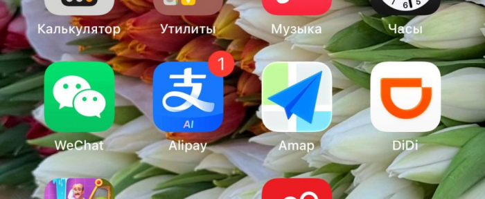 Я приехала в Шанхай и обомлела… от цифрового «концлагеря»