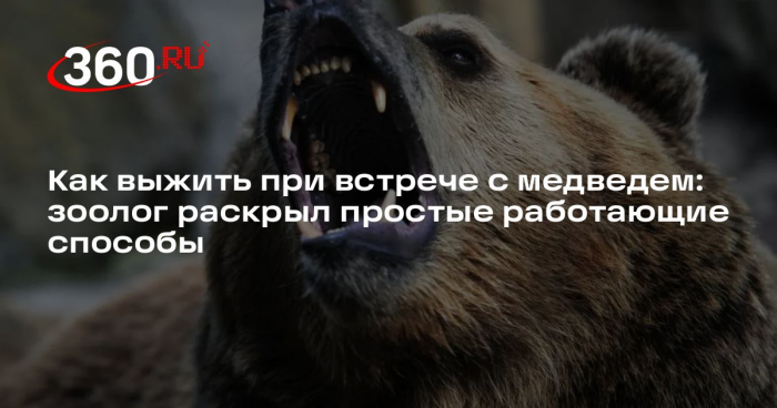 Зоолог Кречмер: медведя можно попробовать отпугнуть свистком и рэпом