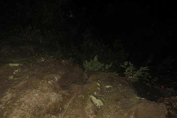 Сын пропавшей Ирины Усольцевой уверен, что исчезнувшая в тайге семья жива. Как по всему миру загадочно пропадают люди?