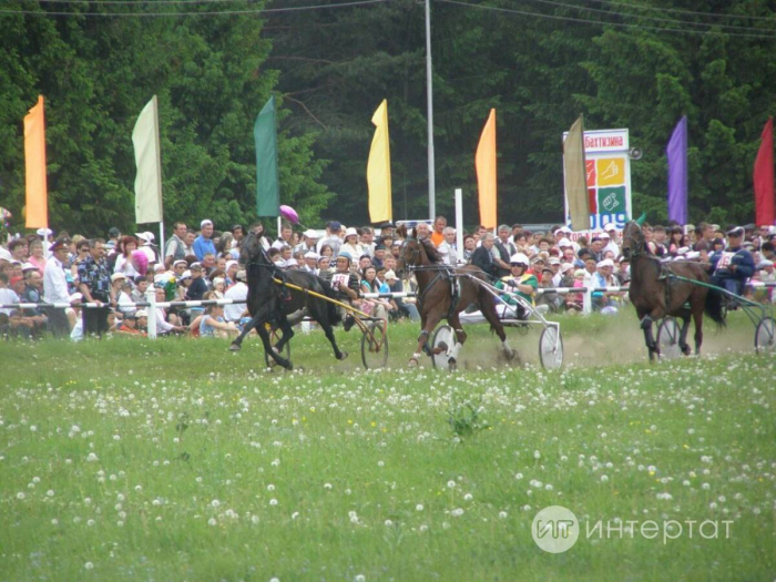 Шыгырдан җайдаклары: «Атларда чабу җанга ял бирә, бөтен тормыш мәшәкатьләре онытыла»