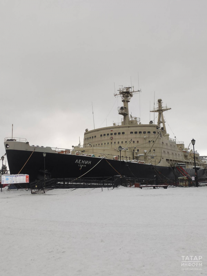 Северное сияние, гонки на хаски, пальмы в тундре: репортаж с края света