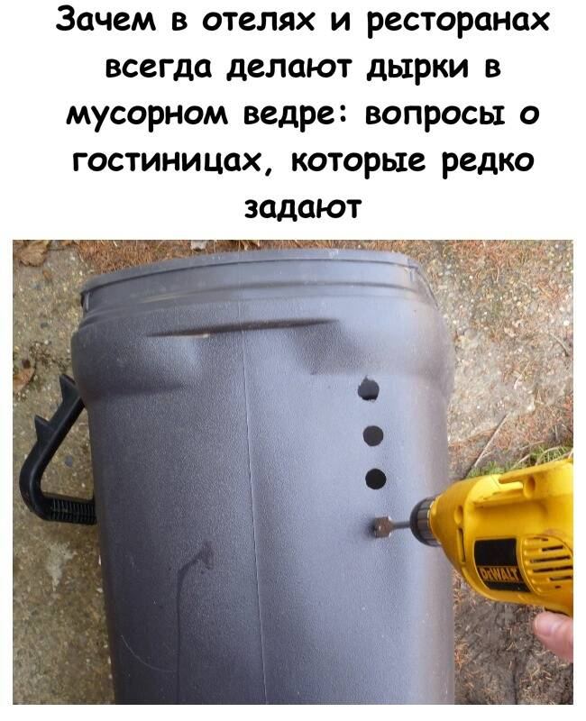 Зачем в отелях и ресторанах всегда делают дырки в мусорном ведре: вопросы о гостиницах, которые редко задают