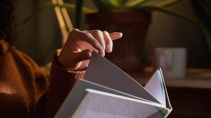 Бес «Башни»: Алексей Иванов выпустил роман про демонов