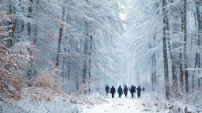 Самая длинная ночь года: что можно и нельзя делать в день зимнего солнцестояния 21 декабря