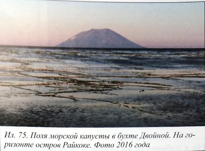 С Днем пограничника! Остров Матуа, 1985 г. ...
