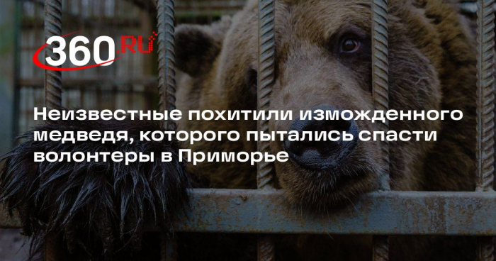 Акулова: в Приморье украли медведя, которого пытались спасти волонтеры