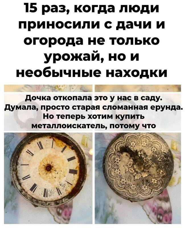 15 раз, когда люди приносили с дачи и огорода не только урожай, но и необычные находки